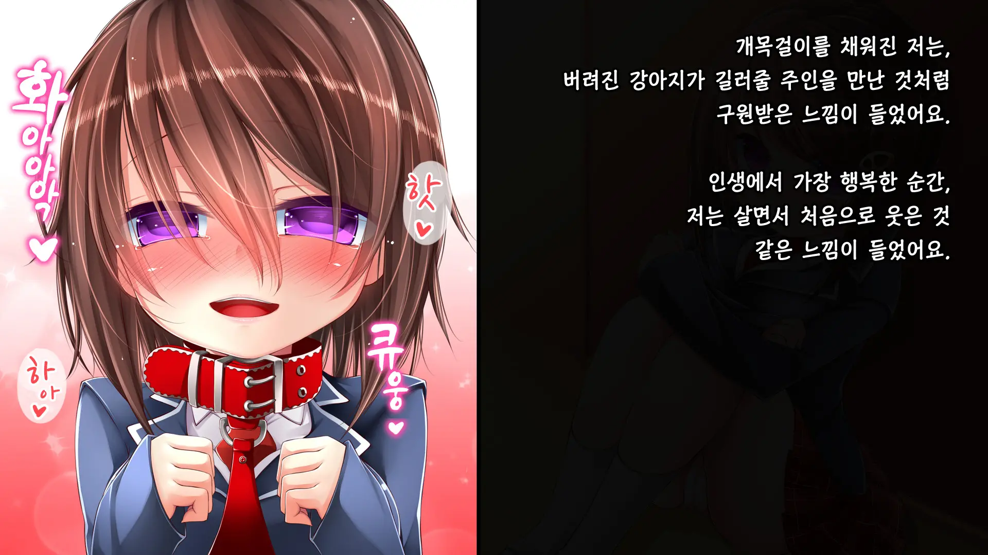 Tadashii Kanojo (Pet) No Kaikata